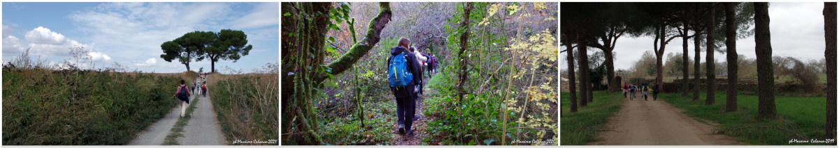 Comb.1 grandi passi trek