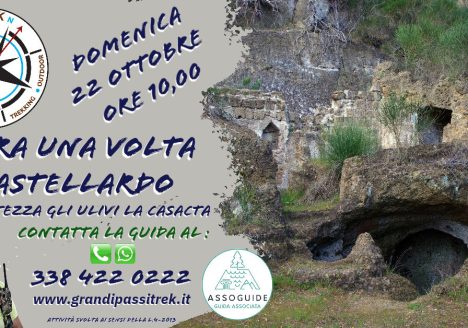 Escursione Castellardo