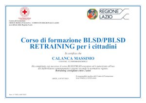 blsd corso blsd
