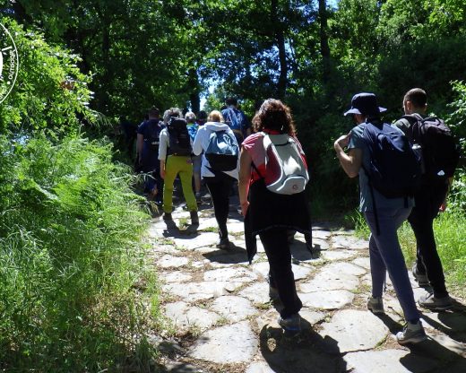 Escursioni e trekking a Viterbo e nella Tuscia Escursioni e trekking a Viterbo e nella Tuscia